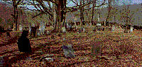 Walker Cemetery